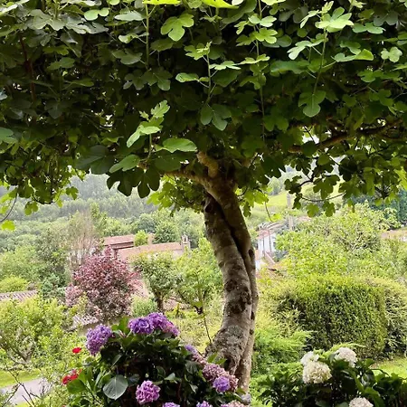 펜션 Con Jardin Junto A Playas 코룬가