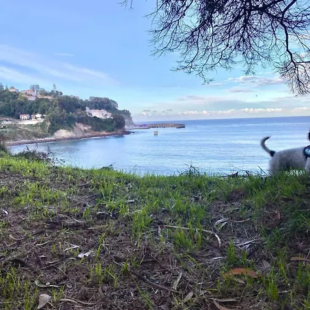 Con Jardin Junto A Playas