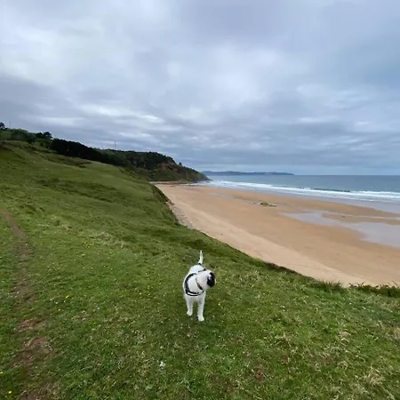 Vakantiehuis Con Jardin Junto A Playas Colunga
